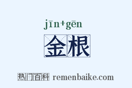 金根是什么意思的图片
